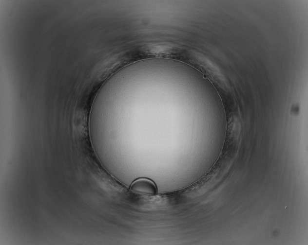 X0000100480421200806201634