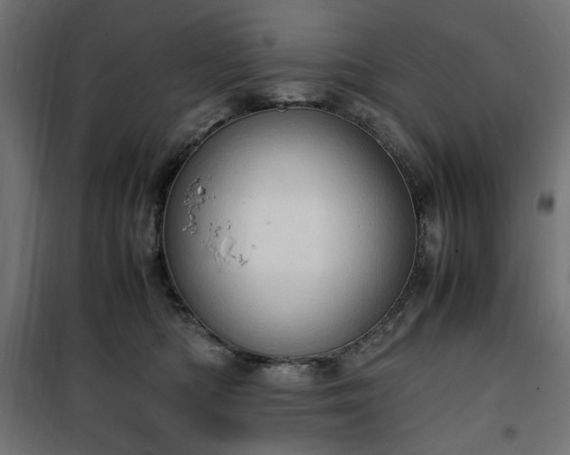 X0000100480422200806201634