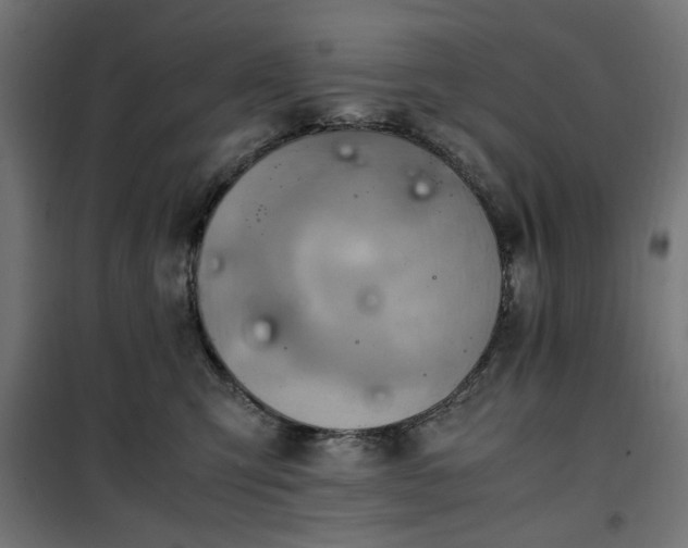 X0000100480423200806201634