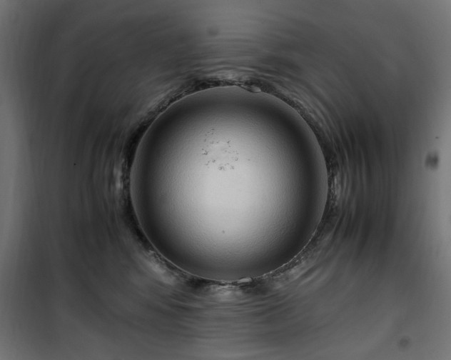 X0000100480424200806201634