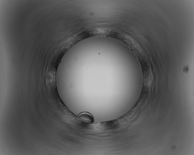 X0000100480425200806201634