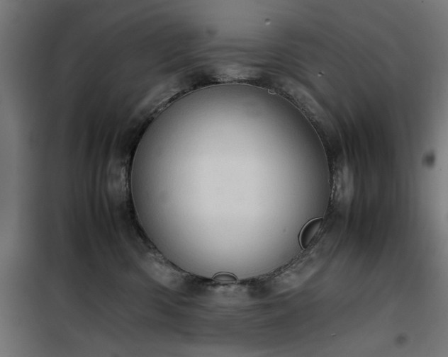 X0000100480426200806201634