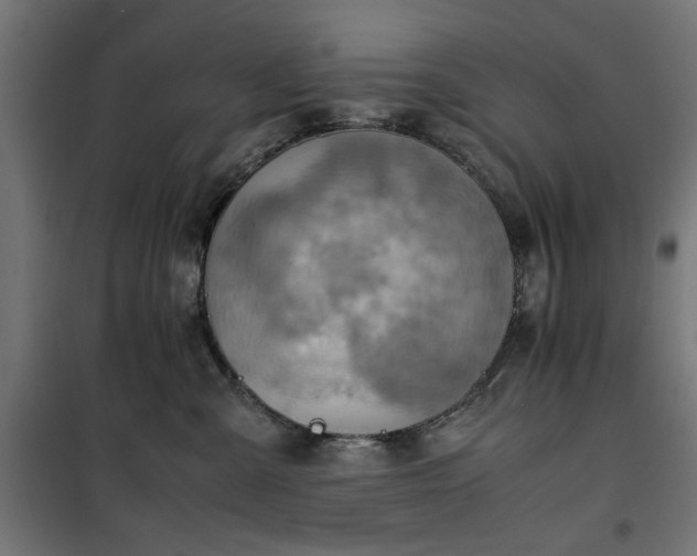 X0000100480427200806201634