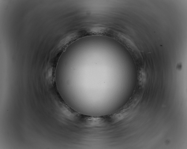 X0000100480428200806201634