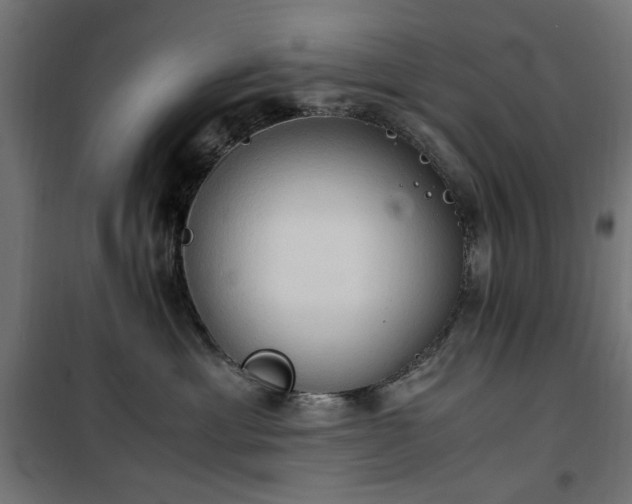 X0000100480429200806201634
