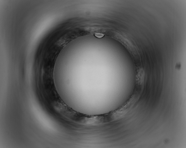 X0000100480430200806201634