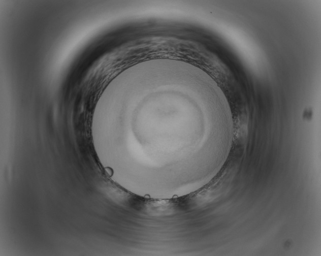 X0000100480431200806201634