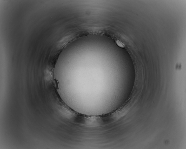 X0000100480432200806201634