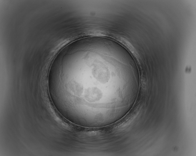X0000100480433200806201633