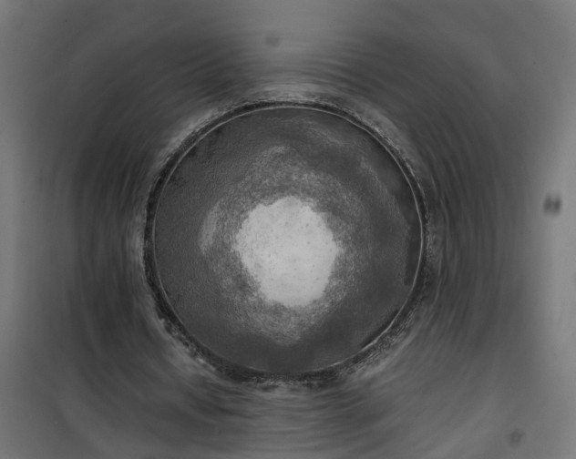 X0000100480434200806201633