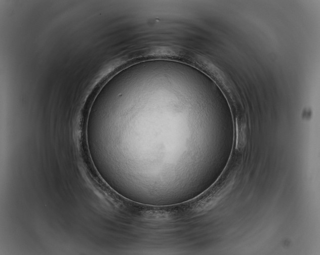 X0000100480435200806201633