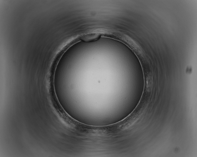 X0000100480436200806201633