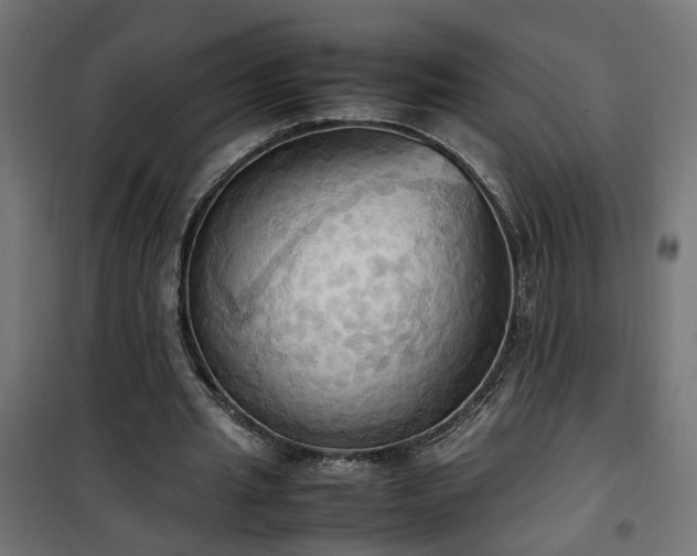 X0000100480437200806201633