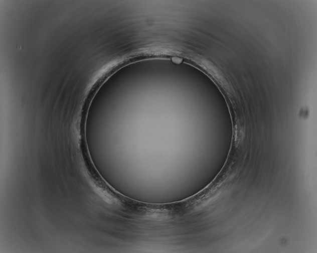 X0000100480438200806201633
