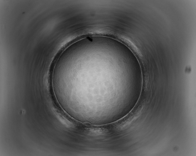 X0000100480439200806201633