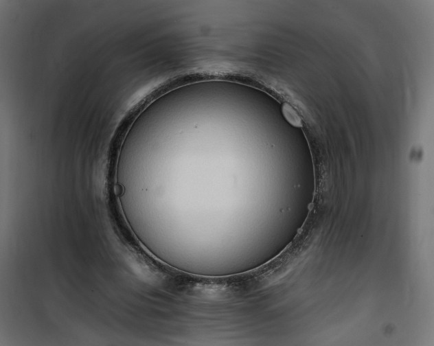 X0000100480440200806201633