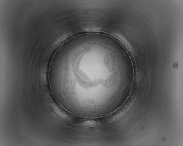 X0000100480441200806201633