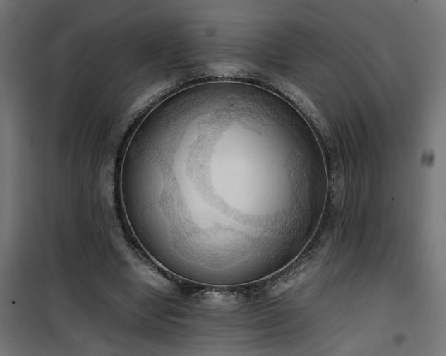 X0000100480442200806201633