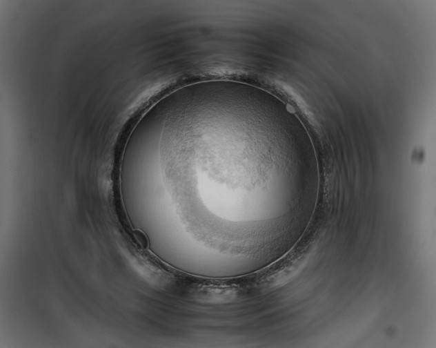 X0000100480443200806201633
