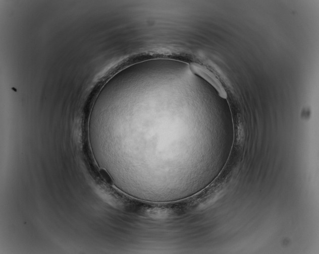 X0000100480444200806201633