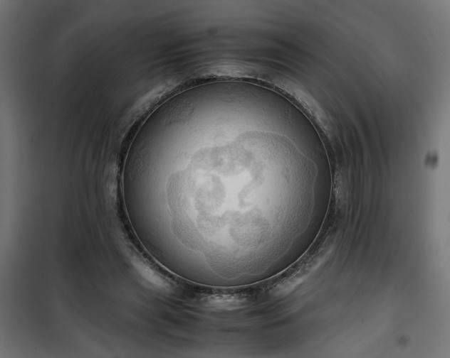X0000100480445200806201634