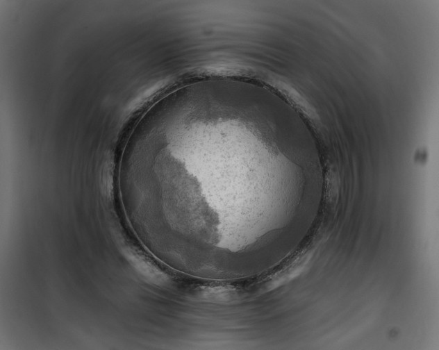 X0000100480446200806201634