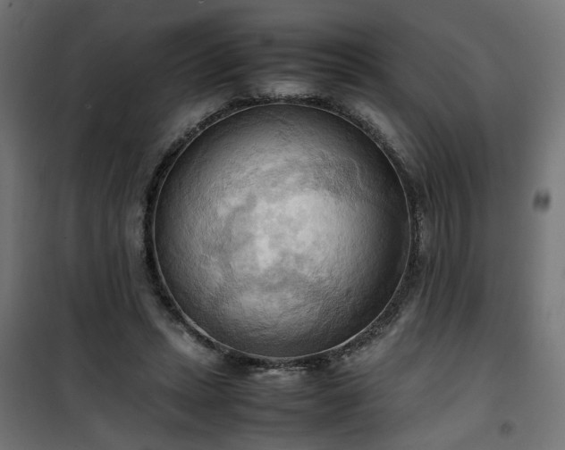 X0000100480447200806201634