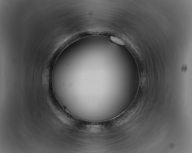 X0000100480448200806201634