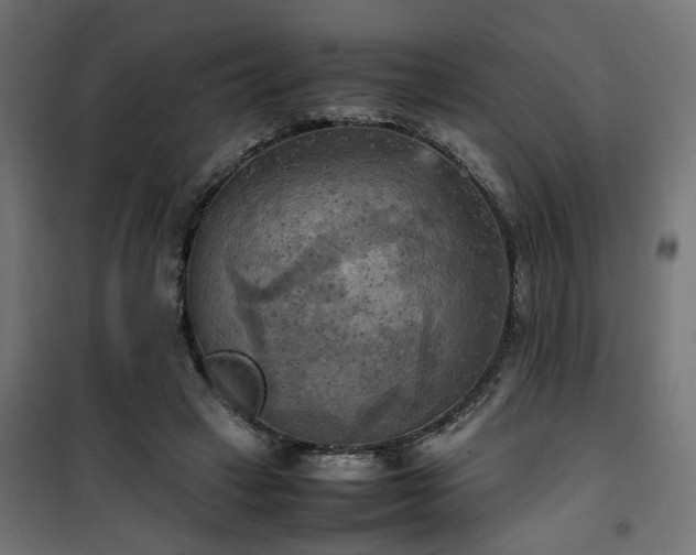 X0000100480449200806201634