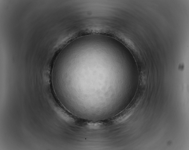 X0000100480450200806201634