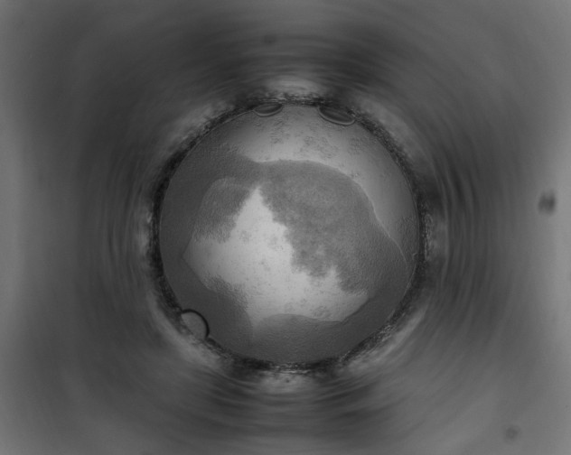 X0000100480451200806201634