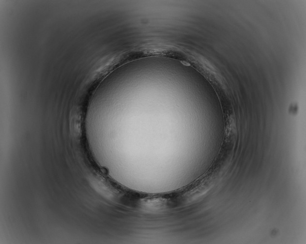 X0000100480452200806201634