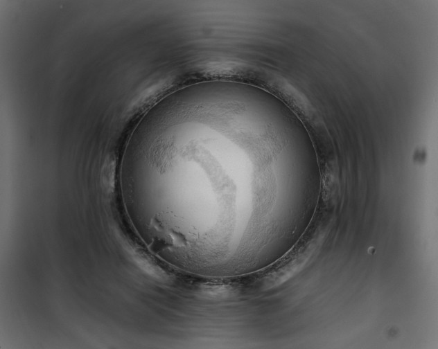 X0000100480454200806201634