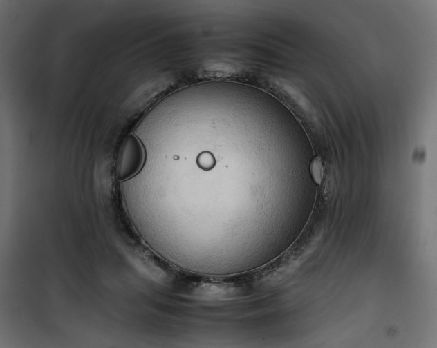 X0000100480455200806201634