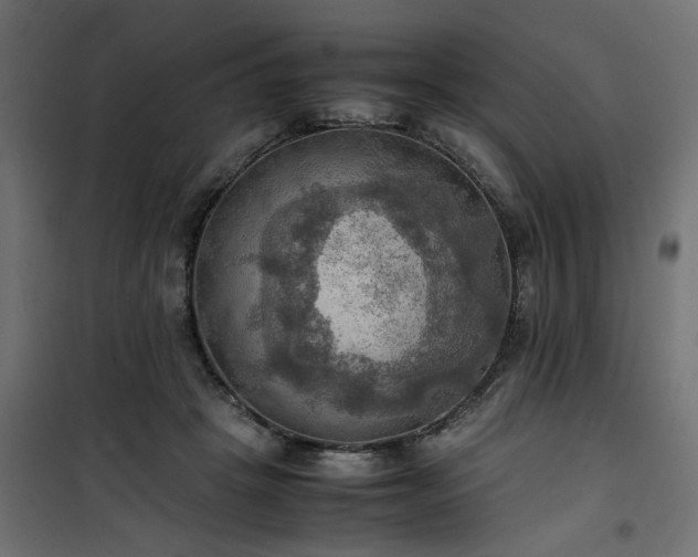 X0000100480457200806201634