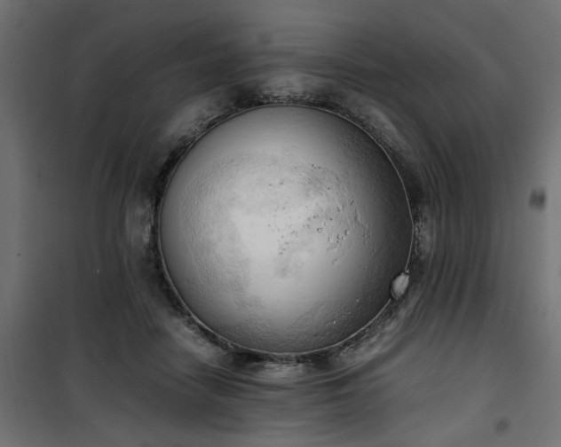 X0000100480458200806201634