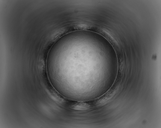 X0000100480459200806201634