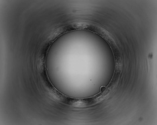 X0000100480460200806201634