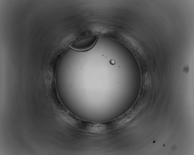 X0000100480463200806201634