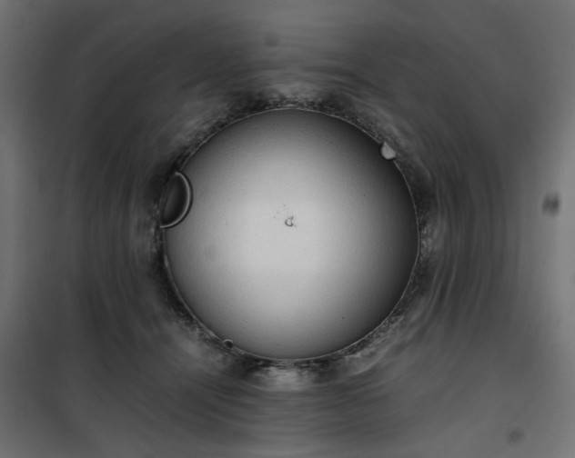 X0000100480464200806201634