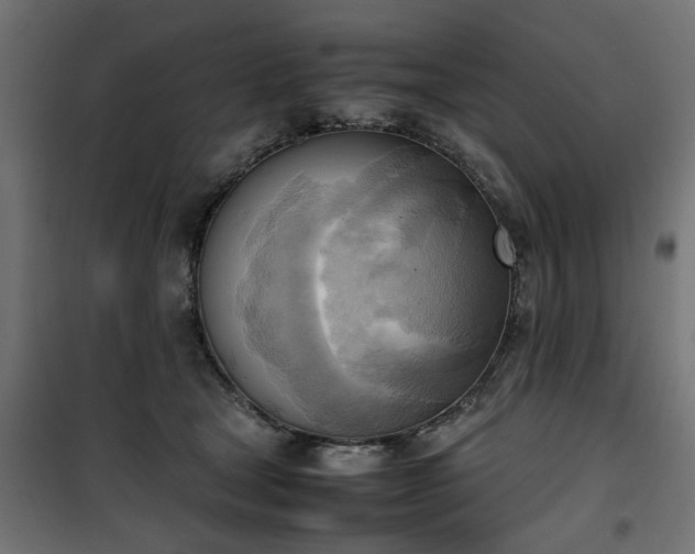 X0000100480465200806201634