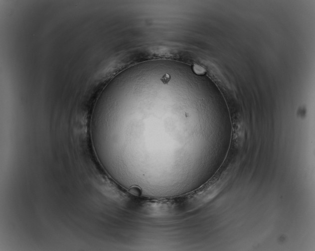X0000100480466200806201634