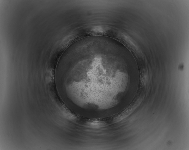 X0000100480467200806201634