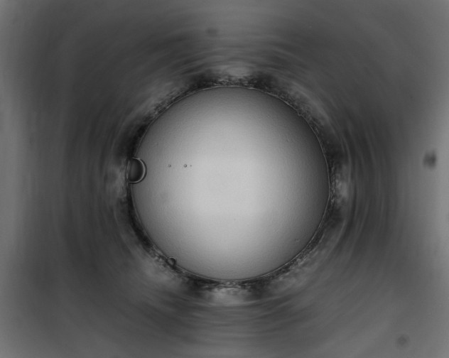 X0000100480468200806201634