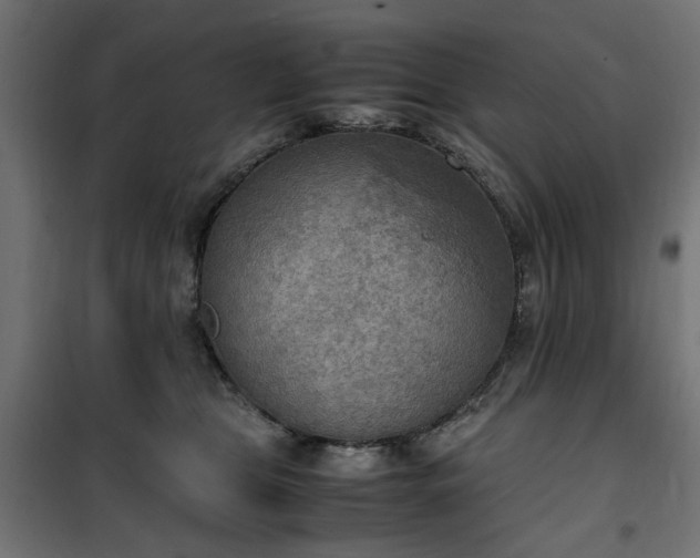 X0000100480469200806201634