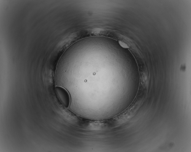 X0000100480470200806201634