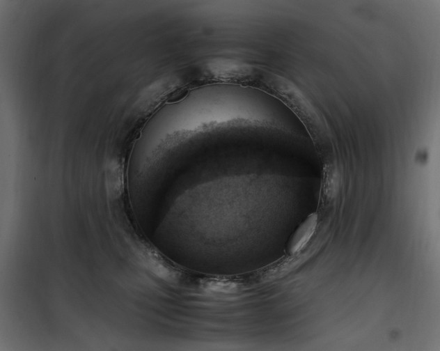 X0000100480471200806201634