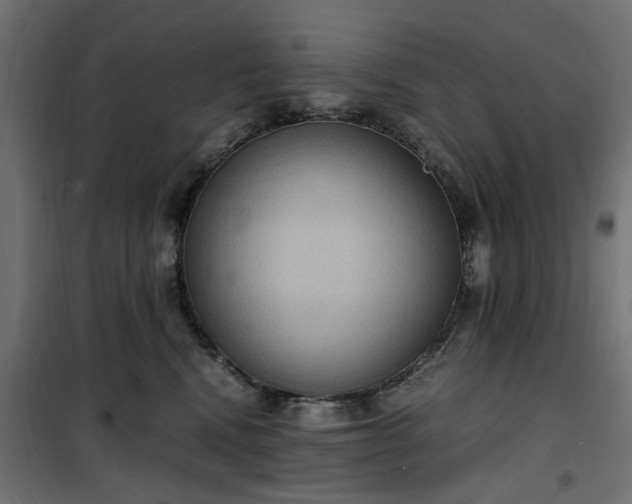 X0000100480472200806201634