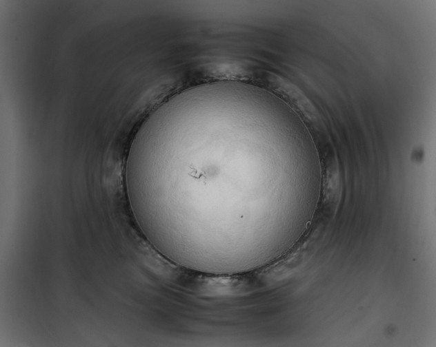 X0000100480473200806201634