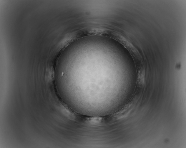 X0000100480474200806201634
